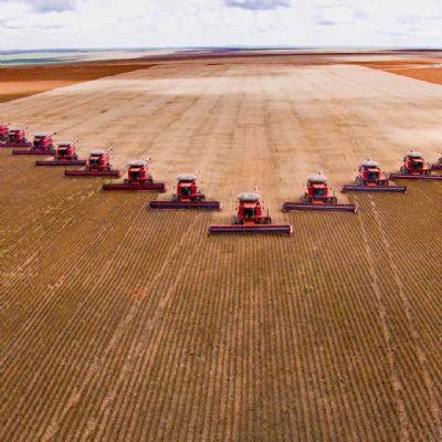 Com atraso, BNDES anuncia nova linha de cr�dito para o agro