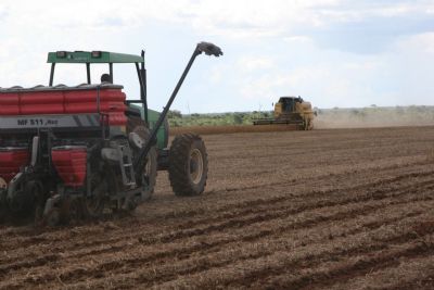 Ga�cha do Norte tem potencial para dobrar �rea com soja e chegar a 400 mil hectares de lavoura