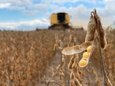 Produ��o de soja em Canarana deve ultrapassar pela primeira vez um milh�o de toneladas