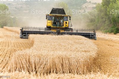 UE compra mais trigo e estoques devem subir