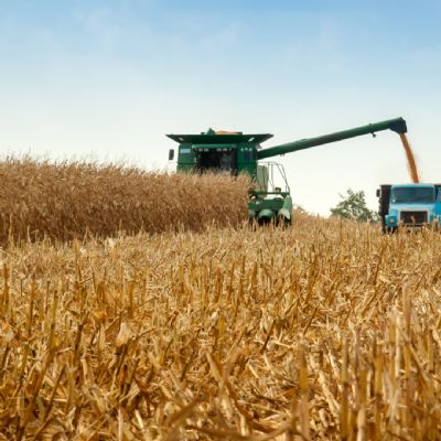 Pre�o do milho em Mato Grosso se aproxima do m�nimo da Conab com safra recorde � vista