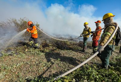 Corpo de Bombeiros extingue sete inc�ndios florestais e combate outros 45 neste domingo (08)