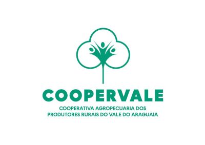 Produtores de algod�o do Vale do Araguaia criam cooperativa para acessar redu��o de impostos