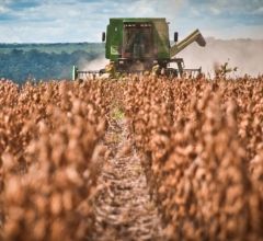O campo vai continuar produzindo com ou sem coronav�rus', garante Aprosoja Brasil