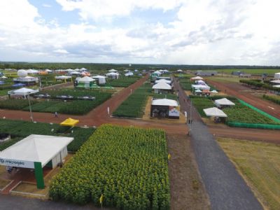 DINETEC encerra primeiro dia de evento com bons resultados; V�deo