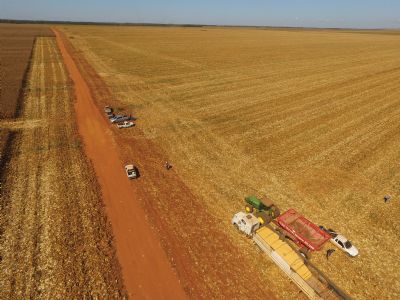 Covid-19: Agropecu�ria perde 580 mil trabalhadores no trimestre encerrado em maio
