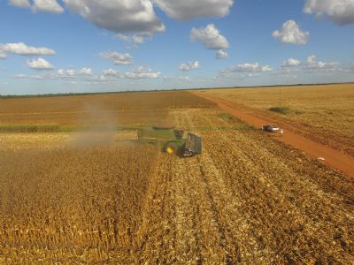 Barter pode ser fundamental durante a pandemia