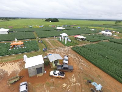 Xingu Pesquisa comemora sucesso em terceira edi��o do XINGUTEC