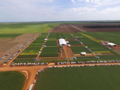 Oitava edi��o do Soja In T�cnica mostra a for�a do Agroneg�cio em Quer�ncia