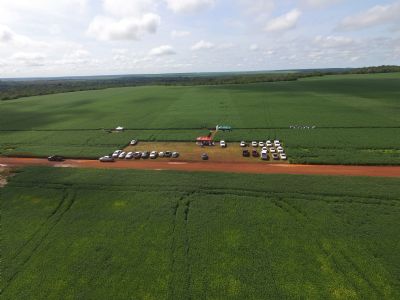 Agr�cola Alvora realiza primeiro dia de campo em Santa Cruz do Xingu