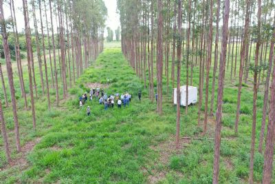 Embrapa mostra tecnologias de produ��o sustent�veis para diplomatas de dez pa�ses em visita � Mato Grosso