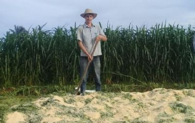 DM auxilia produtor na constru��o de silos e produ��o de silagem para o gado