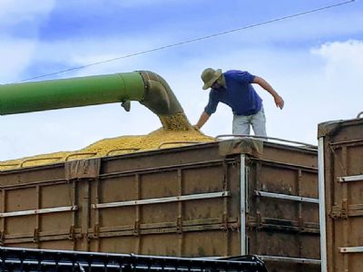 �gua Boa produziu mais de 11 milh�es de sacas de soja na safra 2020/21