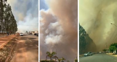 Inc�ndio de grande propor��o atinge lavoura de milho e deixa regi�o coberta de fuma�a em MT