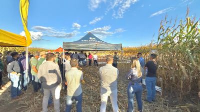 6� edi��o do Dia de Campo da Fazenda Leopoldina refor�a legado de resultados e confirma nova edi��o para 2027