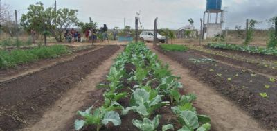 Empaer auxilia comunidade Xavante no manuseio de horta para subsist�ncia