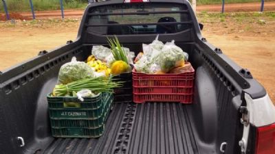 Venda de produtos e entrega delivery garante agricultura familiar em Sorriso