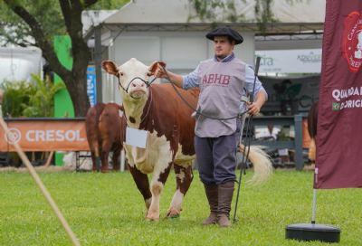 Munic�pio paranaense celebra o melhor das ra�as Hereford e Braford