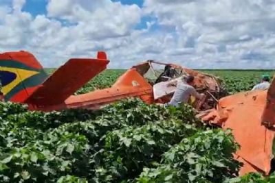 Piloto perde controle de aeronave e cai em planta��o de algod�o em Mato Grosso