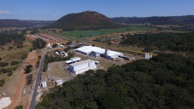 Fider Pescados detecta aumento da demanda de farinha de til�pia para ra��es premium de pets