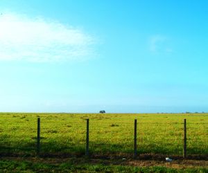 Sistema de Cadastro Ambiental Rural ficar� suspenso para migra��o