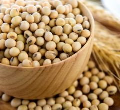 Aprosoja espera que Brasil acompanhe os EUA e n�o libere Dicamba