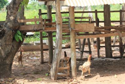 Agricultor recebe orienta��o t�cnica para impedir morte de aves na propriedade