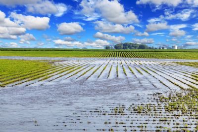 Melhoria constante na gest�o � essencial para o produtor driblar os riscos