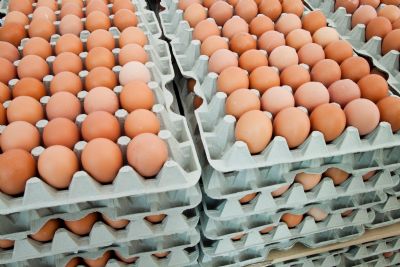 Desempenho do ovo: mercado registra queda na semana