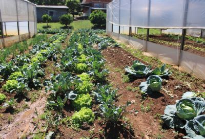 A��es para qualificar forma��o na �rea agr�cola ganham destaque em 2023