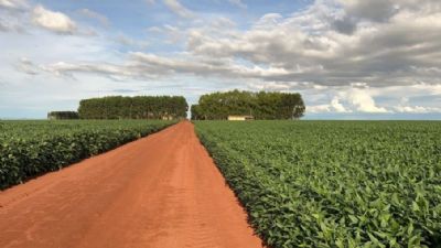 Conhe�a a fazenda que vai sediar a Abertura Nacional do Plantio da Soja 23/24