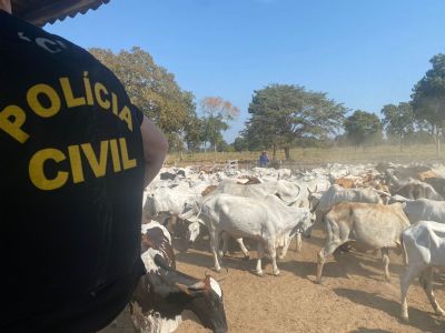 Pol�cia Civil recupera gado furtado e apreende armas e muni��es em s�tio na zona rural de C�ceres