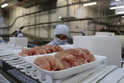 Frango: pre�os sobem em junho com aumento das vendas internas