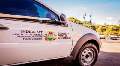 Unidade do Indea de Confresa � fechada devido o risco muito alto de contamina��o