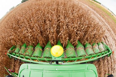 Milho: Pre�os recuam na B3, mas sobem no interior do Brasil nesta 3�, apesar do d�lar