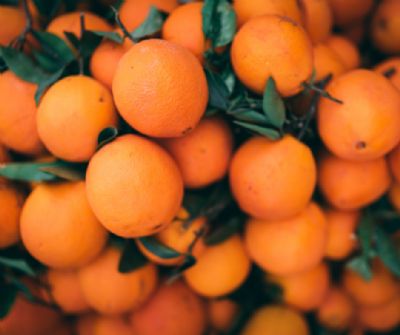 Citros/Cepea: Pre�o da laranja recua e fica abaixo do registrado em 2025