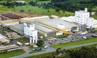 Latic�nio Piracanjuba demonstra interesse na produ��o de leite do Vale do Araguaia