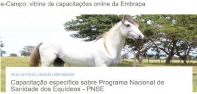 Mapa oferece curso EAD para m�dicos veterin�rios