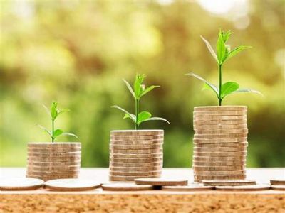 Banco do Brasil chega a R$ 50 bilh�es de cr�dito para Pronaf