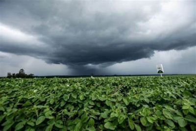 Exporta��es do agroneg�cio batem recorde no semestre com alta de 4,5%
