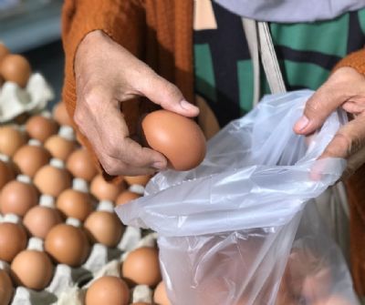 Mercado de ovos enfrenta queda nos pre�os ap�s feriados