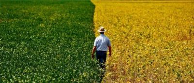 Produtores que contrataram seguro rural com o apoio do governo federal receberam R$ 341 milh�es em indeniza��es em 2019