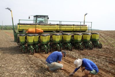 Plantio da soja deve levar ainda mais um m�s para come�ar em Canarana