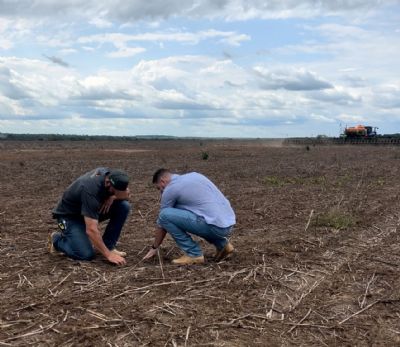Produtor Rural do Vale do Araguaia fala sobre desafios clim�ticos durante o plantio de soja em MT