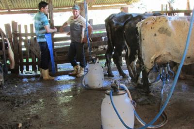 Leite: deputado quer dar desconto de 30% na conta de luz de produtores