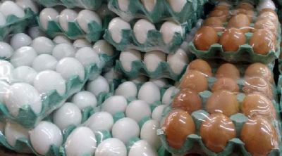 Ovos: Pre�o sobe em junho e sustenta poder de compra frente ao milho