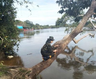 Professora tem projeto contemplado por programa do Greenpeace