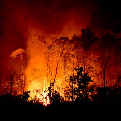 Do combate � preven��o: nova legisla��o e decis�o do STF exigem a��o imediata do produtor rural contra inc�ndios