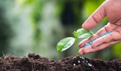 R�ssia define taxar em 23,5% embarques de fertilizantes minerais a partir de 2023