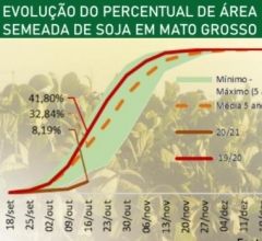 Plantio da soja em MT alcan�a 8,19% da �rea semeada em outubro